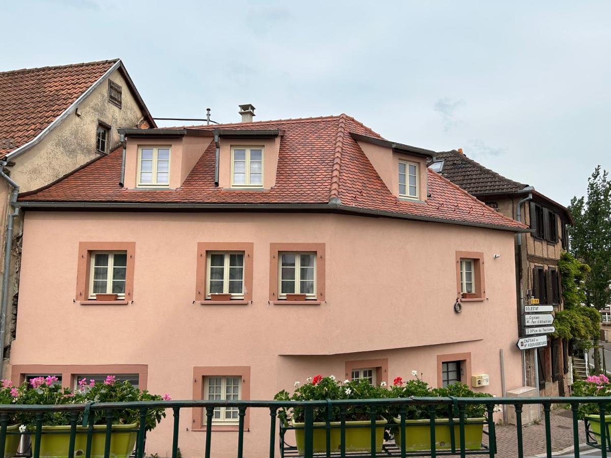 Gite Ma Maison 坎特赞 外观 照片