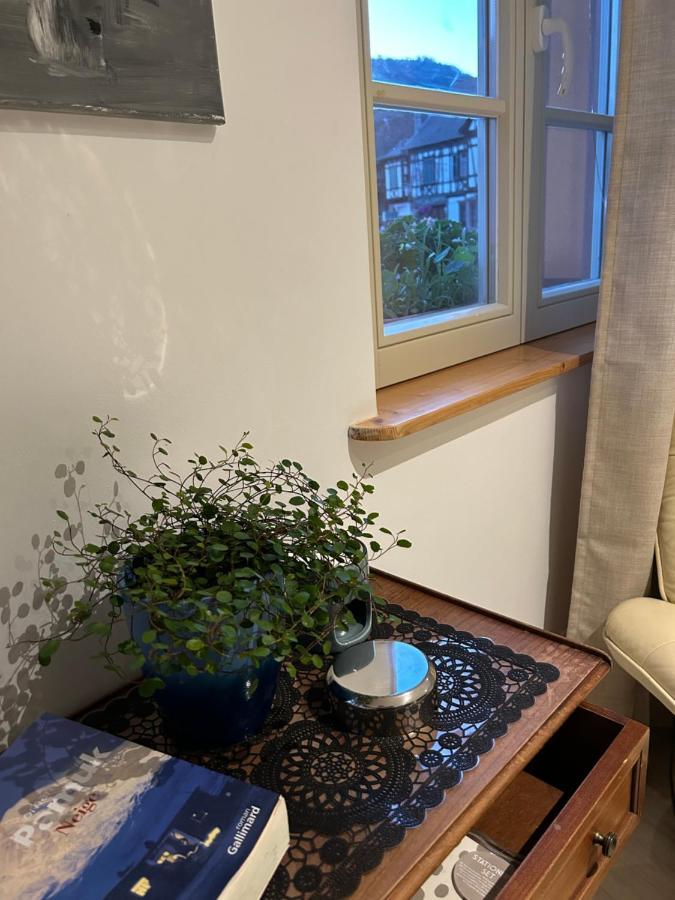 Gite Ma Maison 坎特赞 外观 照片